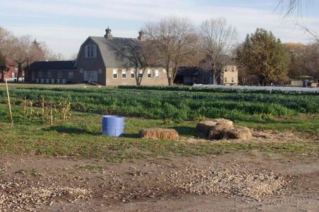 Enlarge photo 15