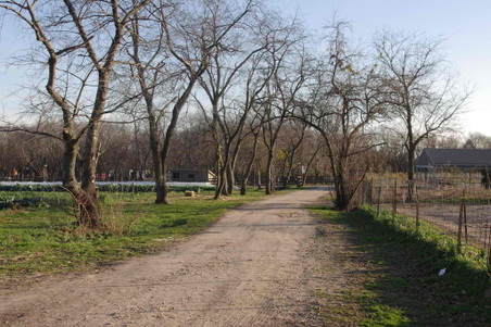Enlarge photo 19