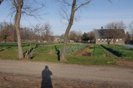 Enlarge photo 20