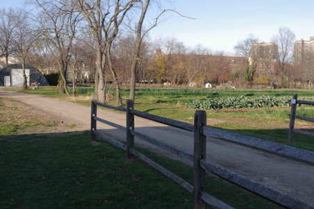 Enlarge photo 21