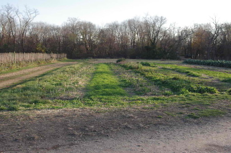 Enlarge photo 23