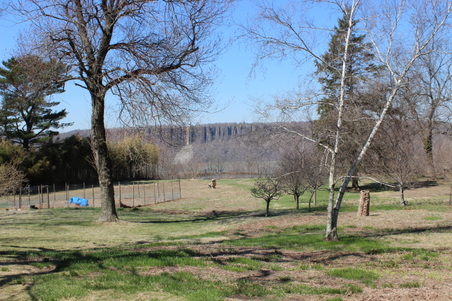 Enlarge photo 30