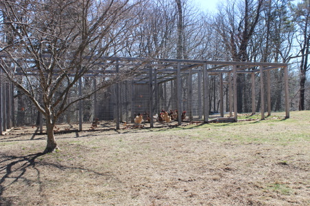 Enlarge photo 32