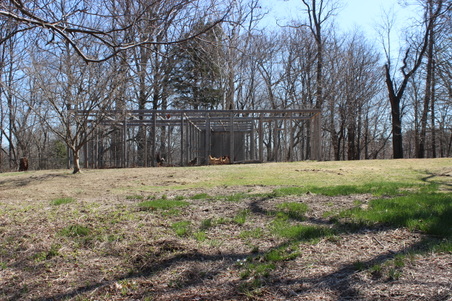 Enlarge photo 34