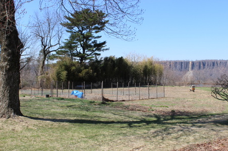 Enlarge photo 35
