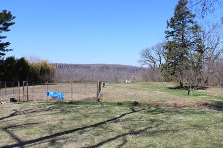 Enlarge photo 38