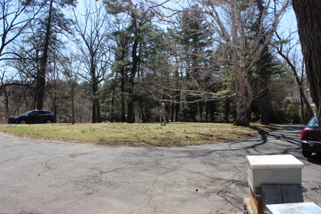 Enlarge photo 40