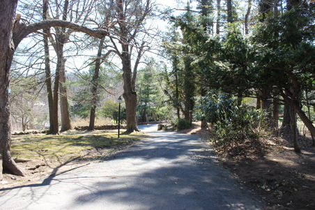 Enlarge photo 42
