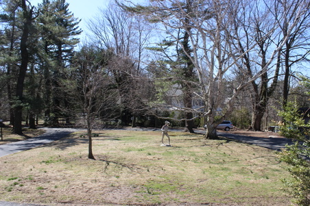 Enlarge photo 48