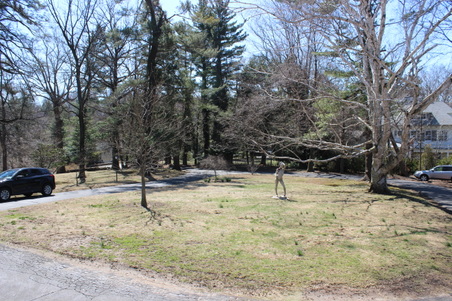 Enlarge photo 51