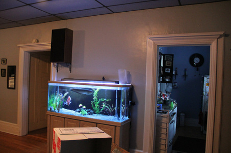 Enlarge photo 38