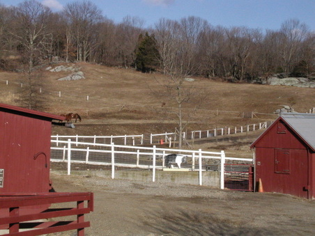 Enlarge photo 9