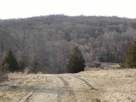 Enlarge photo 13