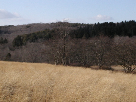 Enlarge photo 17