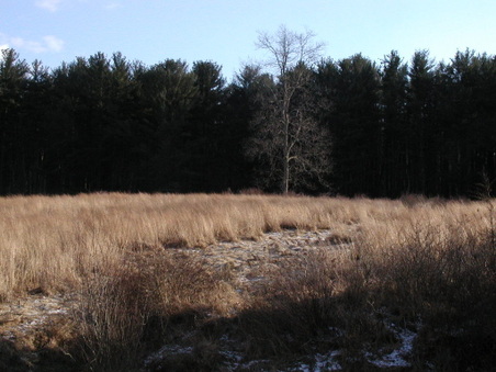 Enlarge photo 18