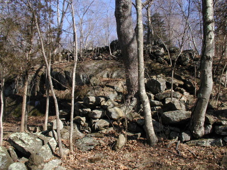 Enlarge photo 20