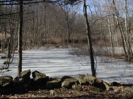 Enlarge photo 22
