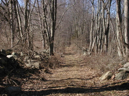 Enlarge photo 23