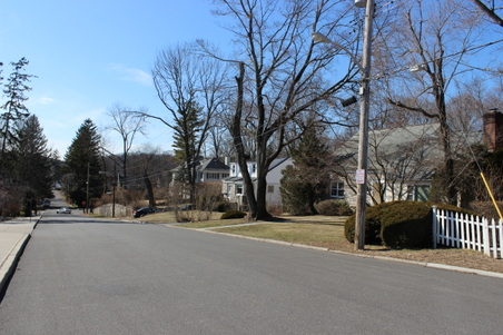Enlarge photo 43