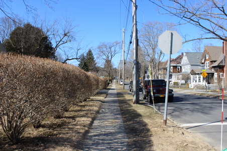 Enlarge photo 45