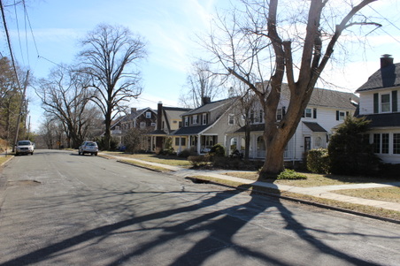 Enlarge photo 52
