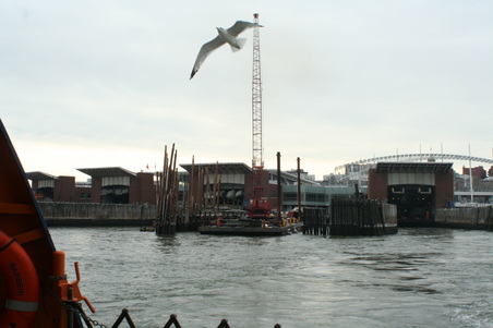 Enlarge photo 56