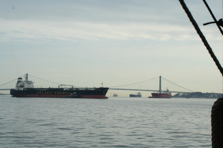 Enlarge photo 63