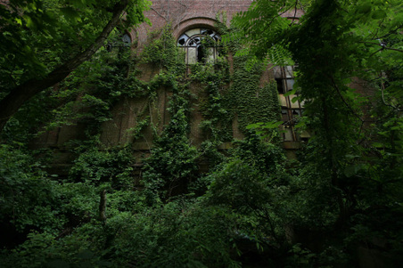 Enlarge photo 5