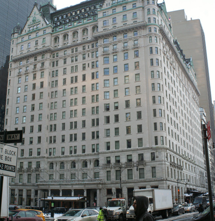 THE PLAZA HOTEL
