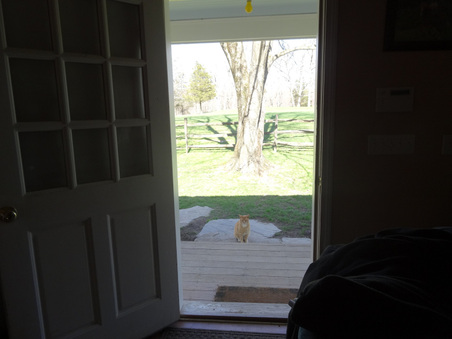 Enlarge photo 6