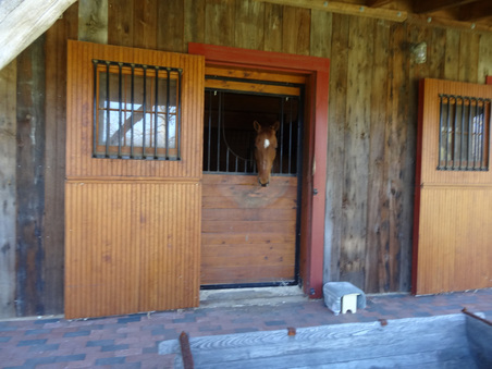 Enlarge photo 21