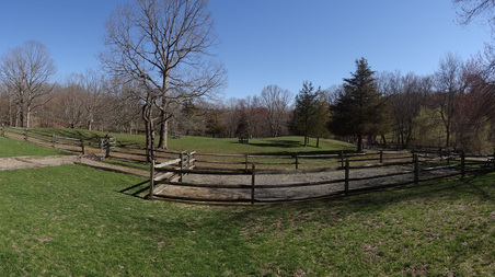 Enlarge photo 23