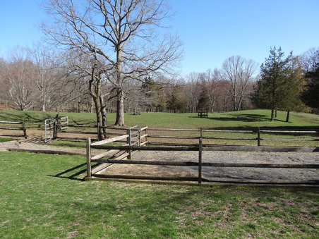 Enlarge photo 24