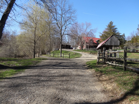Enlarge photo 25