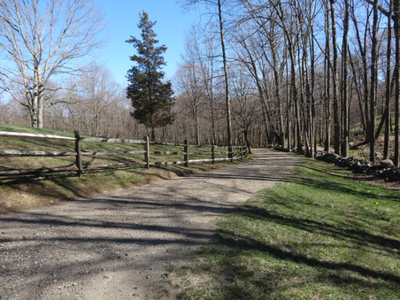 Enlarge photo 29