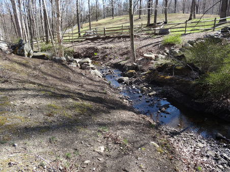 Enlarge photo 37