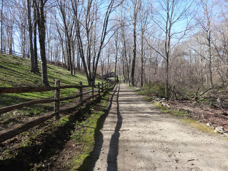Enlarge photo 38
