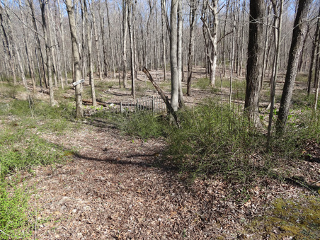 Enlarge photo 39