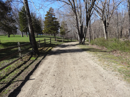 Enlarge photo 42