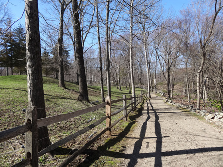 Enlarge photo 49