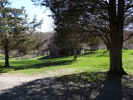 Enlarge photo 52