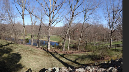 Enlarge photo 53