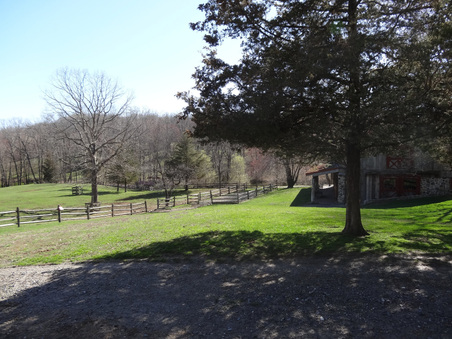 Enlarge photo 54