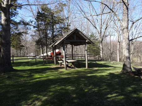 Enlarge photo 55