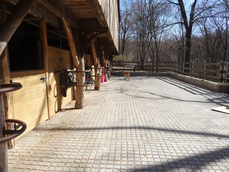 Enlarge photo 73