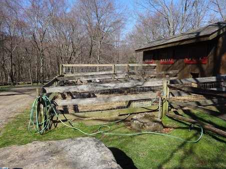 Enlarge photo 83