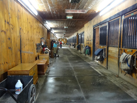Enlarge photo 22