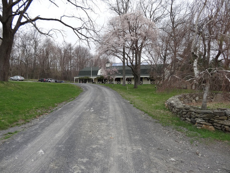 Enlarge photo 35