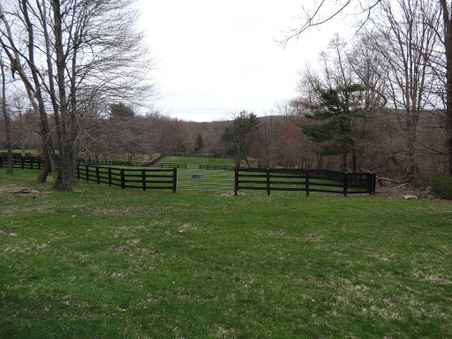 Enlarge photo 37