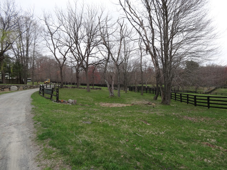 Enlarge photo 38